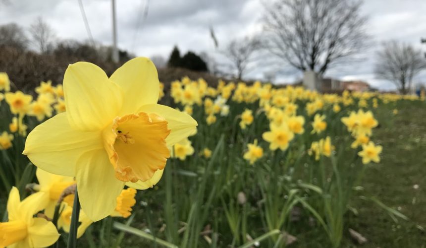 Frohe und schöne Ostern 🥚 Frohe und schöne Ostern 🥚