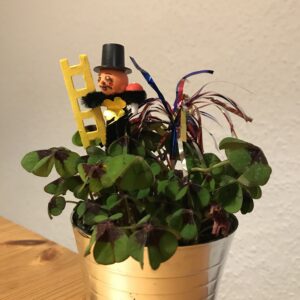 Wir wünschen euch allen einen guten Rutsch ins neue Jahr Heute haben wir mit "Ik söök en Mann, de nich kann" um 19 Uhr unsere letzte Vorstellung in diesem Jahr.Vielen Dank für die vielen Zuschauer, die dieses Jahr dabei waren und uns auch nach den Beschränkungen wieder zahlreich besucht haben. Ohne euch wäre dieses Hobby nur halb so schön 🙂Auf ein wundervolles Jahr 2023 mit vielen tollen Aufführungen 🍾